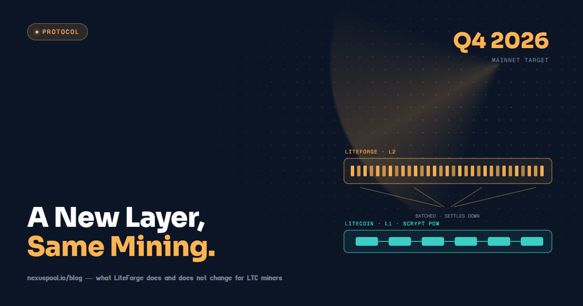 Two-layer diagram showing the LiteForge L2 rollup batching many small transactions down onto an unchanged Litecoin Scrypt proof-of-work base chain.