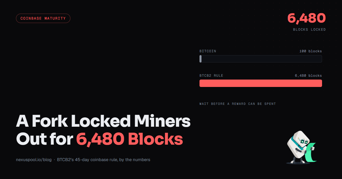 Ratio bar chart contrasting Bitcoin's 100-block coinbase maturity with BTCB2's 6,480-block reward lock
