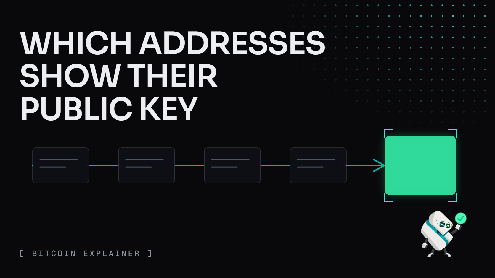 Cover: WHICH ADDRESSES SHOW THEIR PUBLIC KEY. Address cards move along a teal route into one highlighted fresh output; Tess raises a green check badge, lower right.